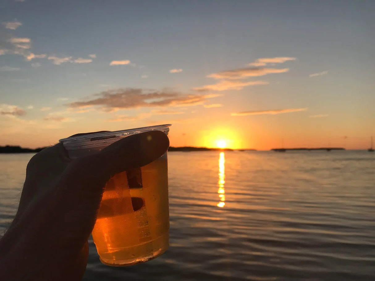 DISCOUNTED TRIPS AVAILABLE FOR AUCTION