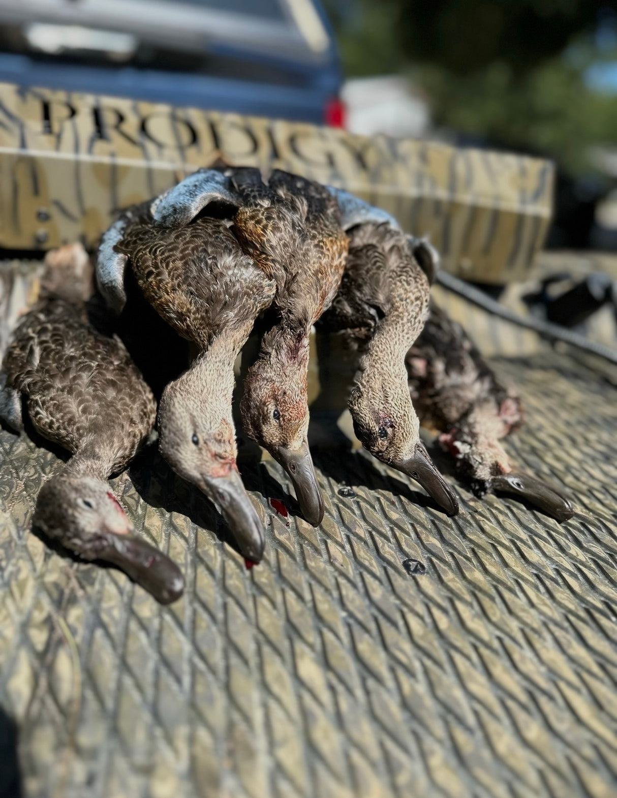 Early Season Teal & Wood Duck Hunting, Sept. 19-23, 2026 (BOOKING DEPOSIT $75 per person)