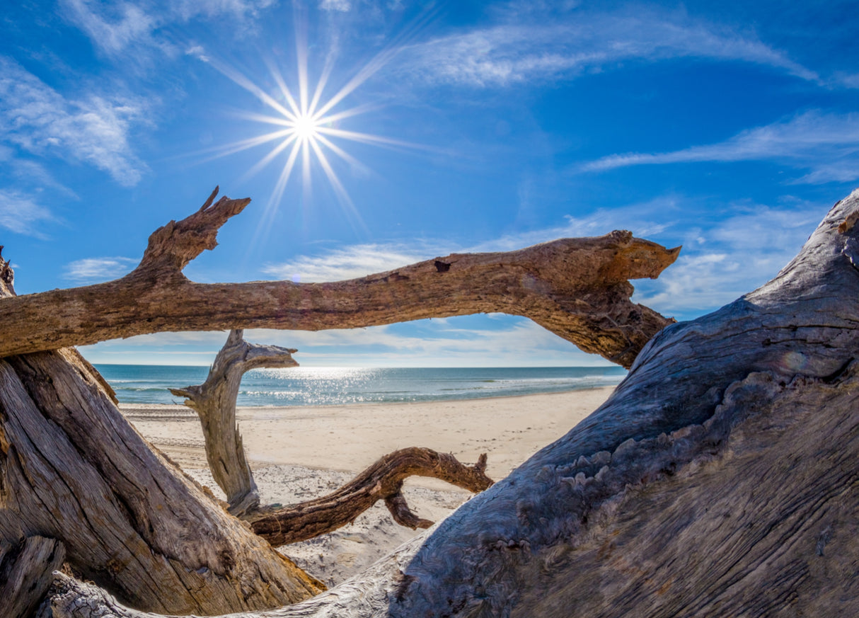 Tours & Cruises: 4 Hour Trips $550 (BOOKING DEPOSIT $150)