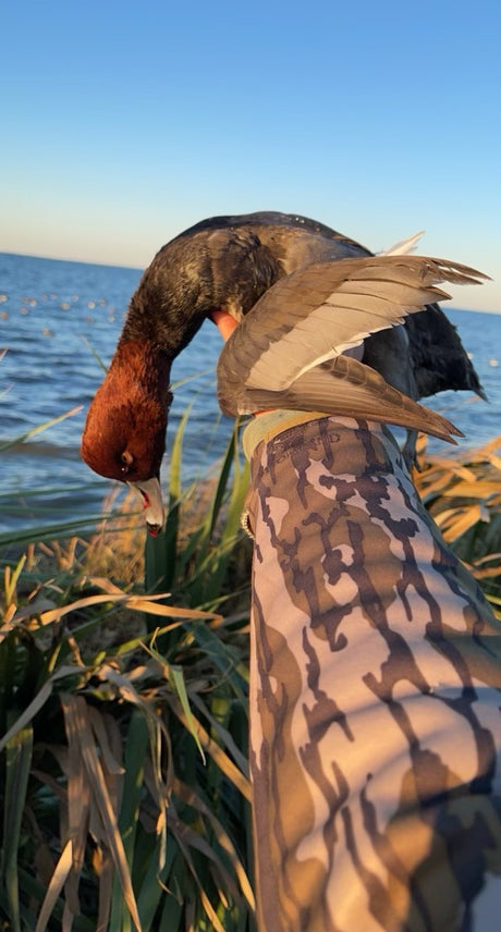 Arranged Duck Hunts for Solo Hunters: HALF & FULL Day Hunts (BOOKING DEPOSIT)