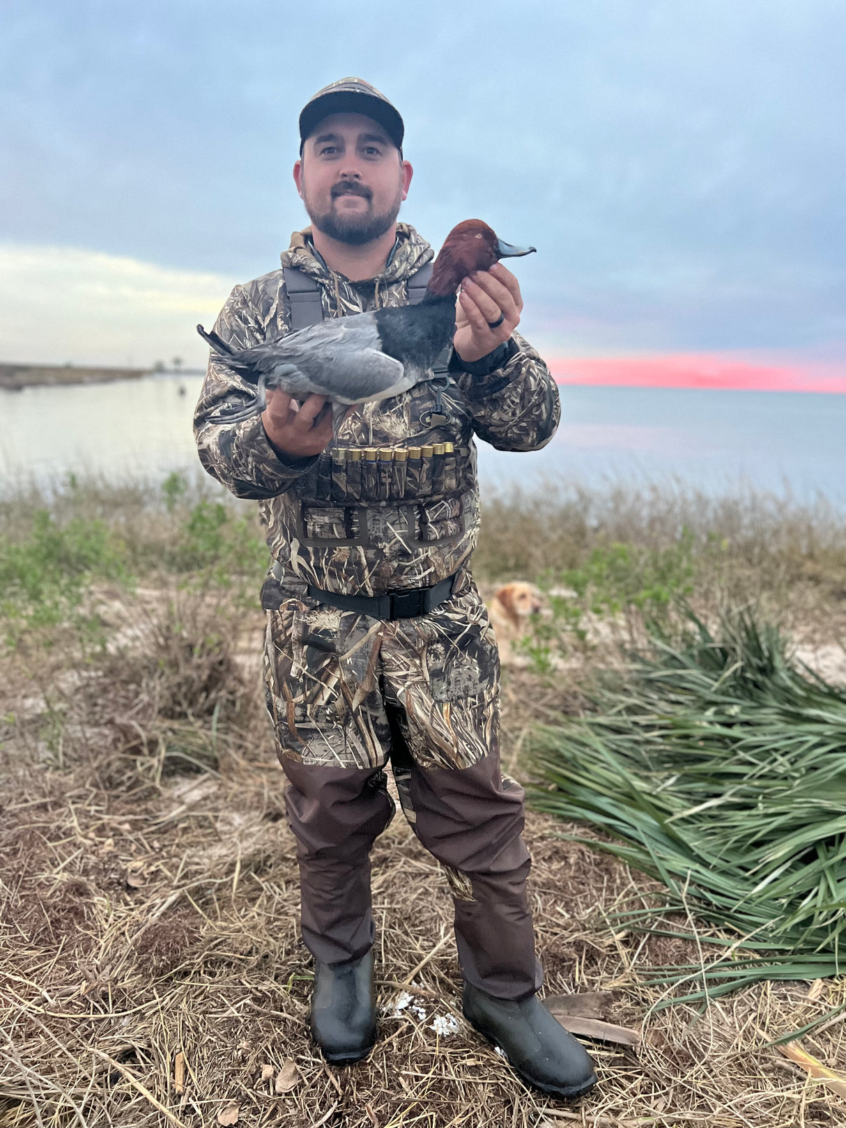 Arranged Duck Hunts for Solo Hunters: HALF & FULL Day Hunts (BOOKING DEPOSIT)