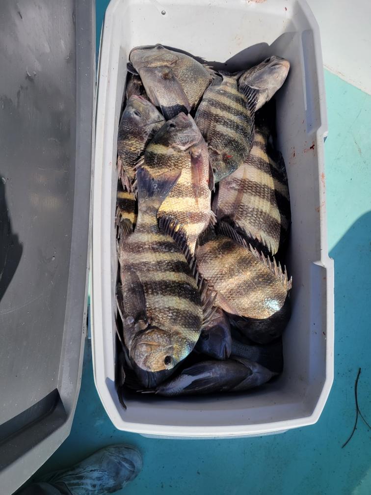 North Florida “Cast-N-Blast”: Duck Hunting & Inshore Fishing Combo (Nov.thru Jan.)