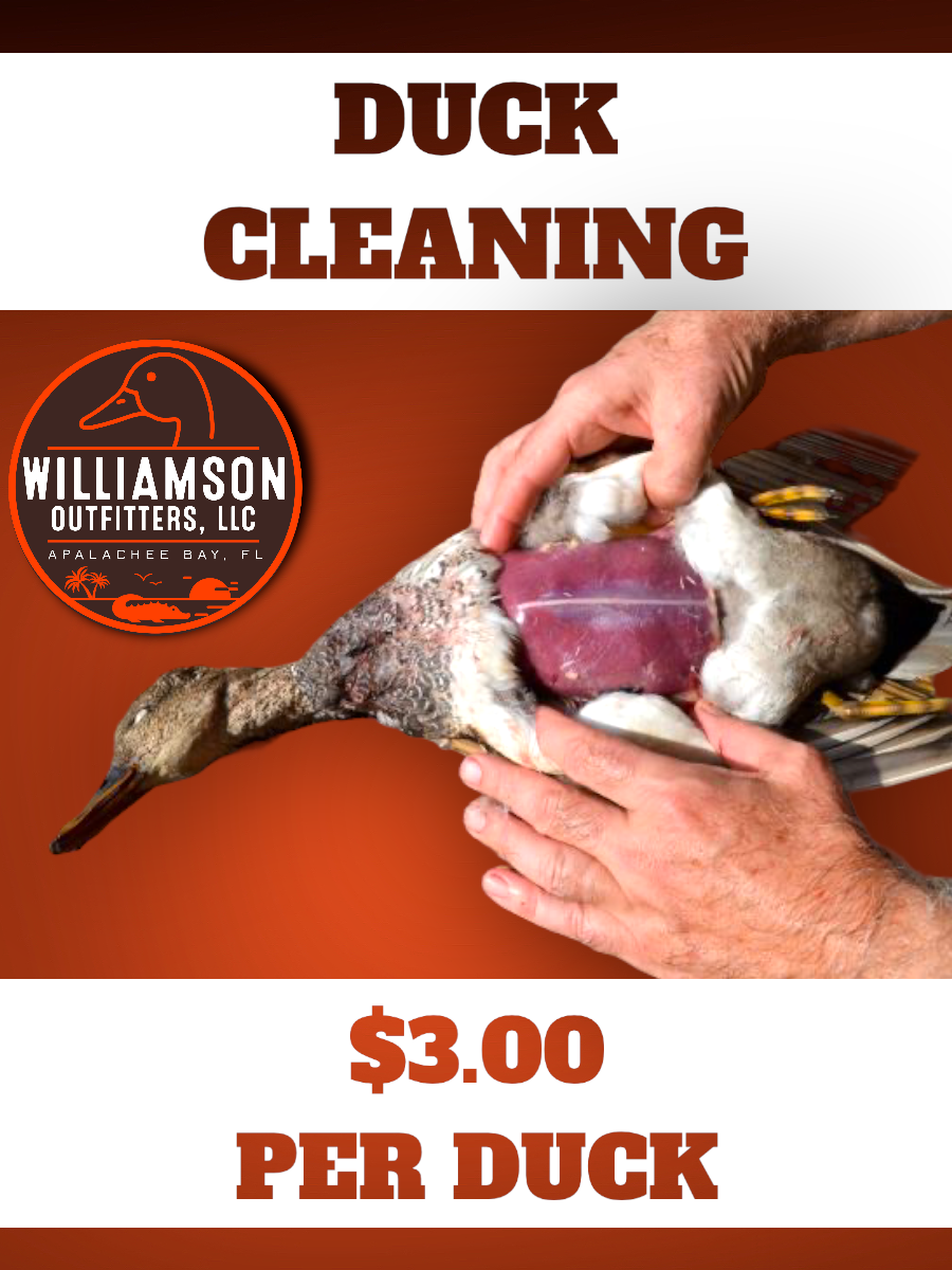 Duck Cleaning