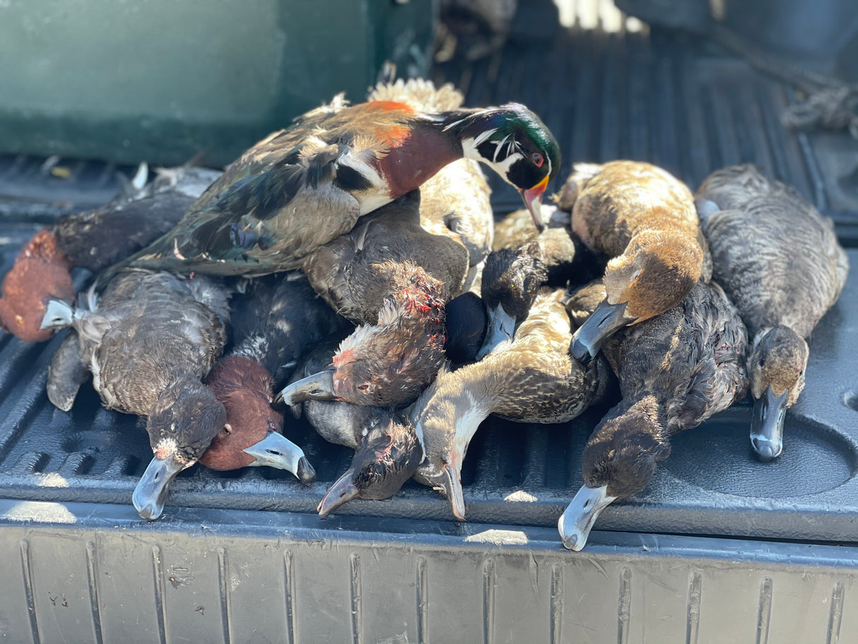 North Florida Duck Hunt (FULL Day Hunt: November - January)