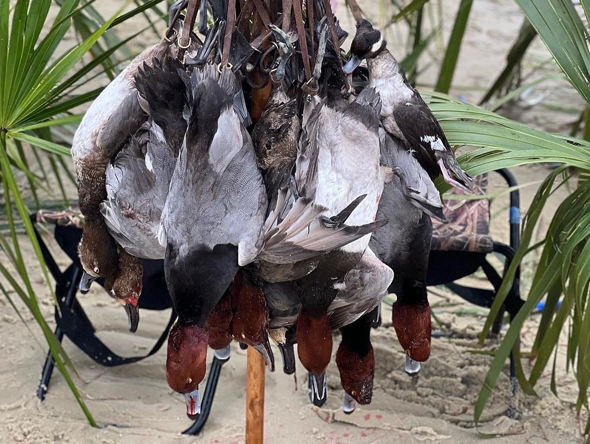 North Florida Duck Hunt (FULL Day Hunt: November - January)