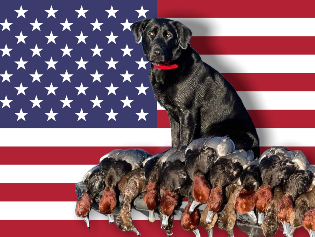 Clay Brown Memorial WARRIOR’S WEEKEND: Military Duck Hunt (BOOKING DEPOSIT; January 31st & February 1st, 2026)