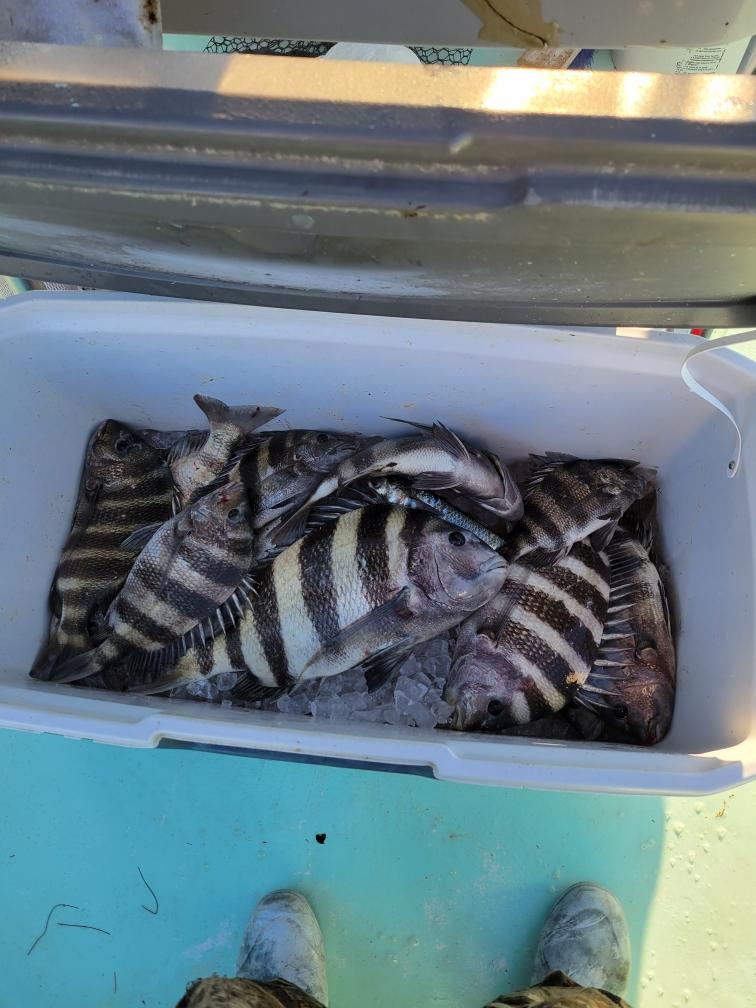 North Florida “Cast-N-Blast”: Duck Hunting & Inshore Fishing Combo (Nov.thru Jan.)