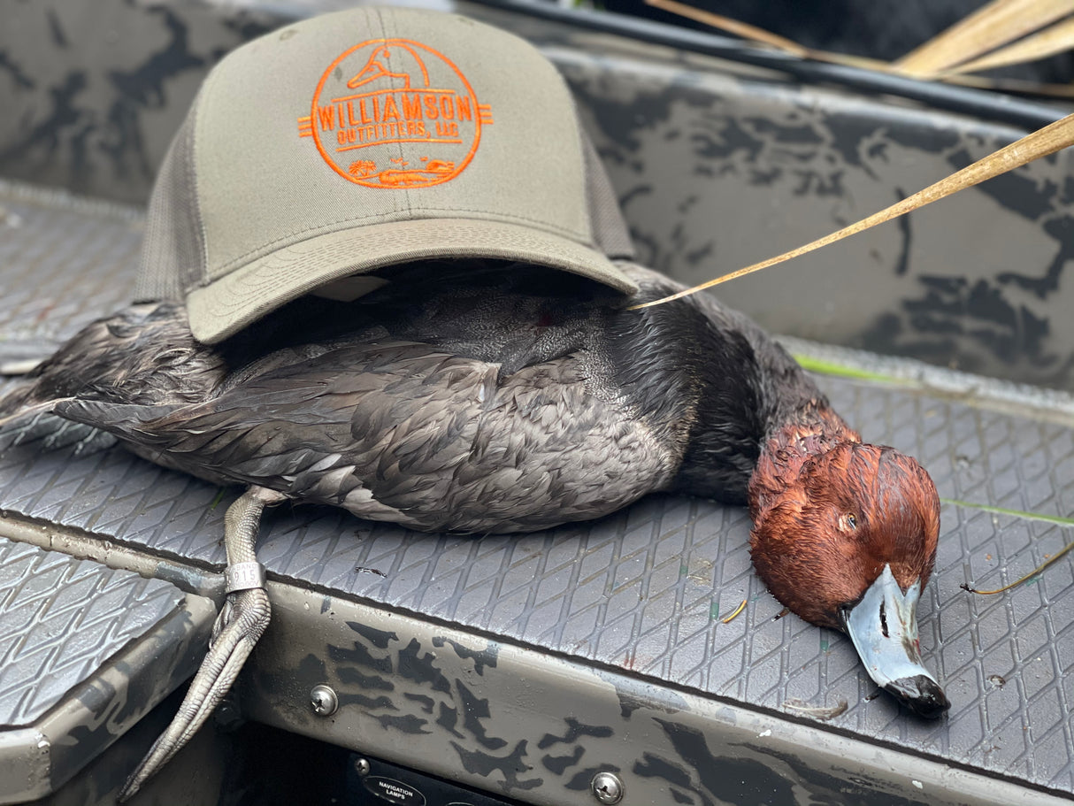 North Florida Duck Hunt (FULL Day Hunt: November - January)
