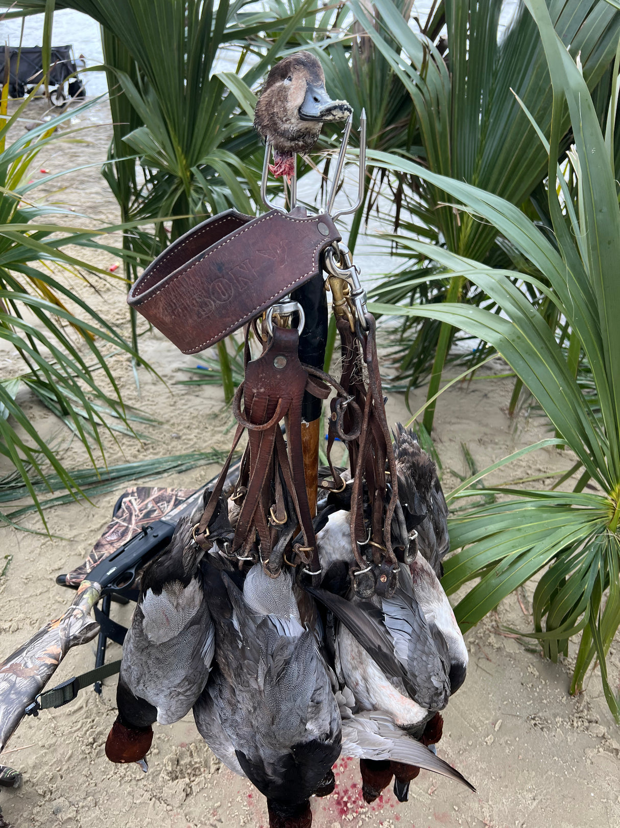 North Florida Duck Hunt (HALF Day Hunt: November - January)