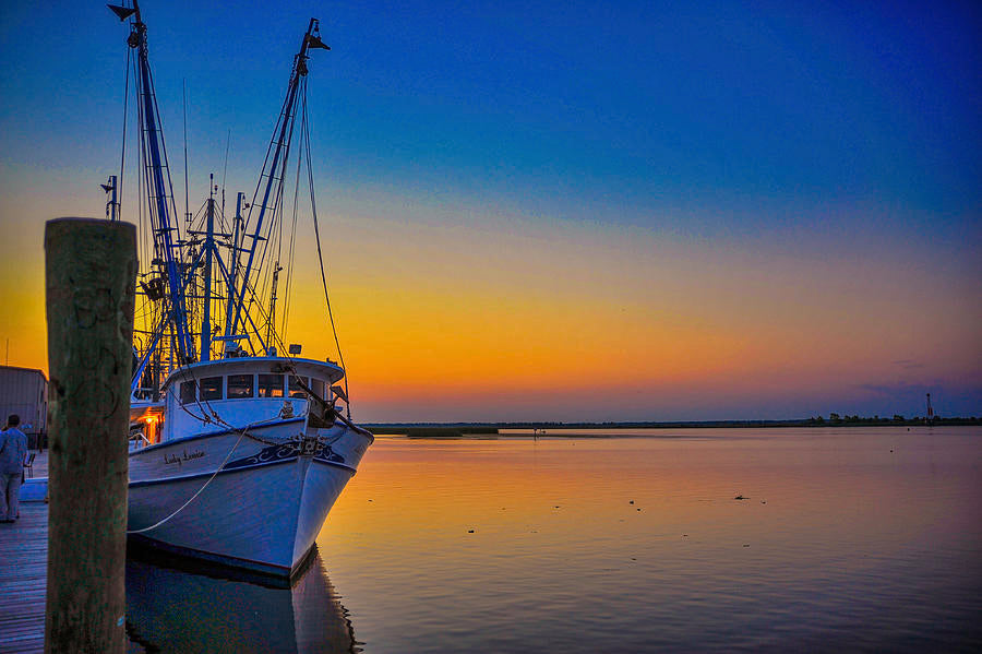 Tours & Cruises: 4 Hour Trips $550 (BOOKING DEPOSIT $150)