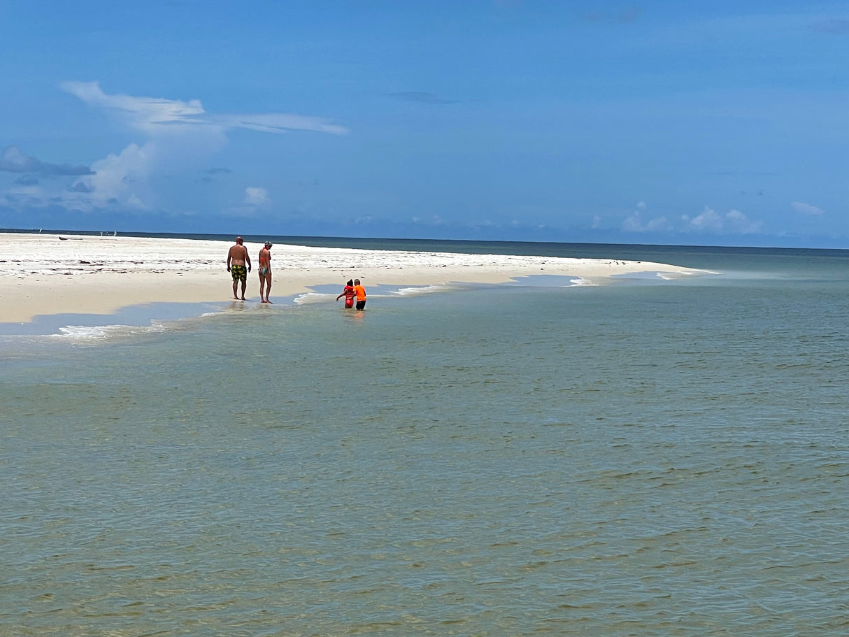 Tours & Cruises: 4 Hour Trips $550 (BOOKING DEPOSIT $150)