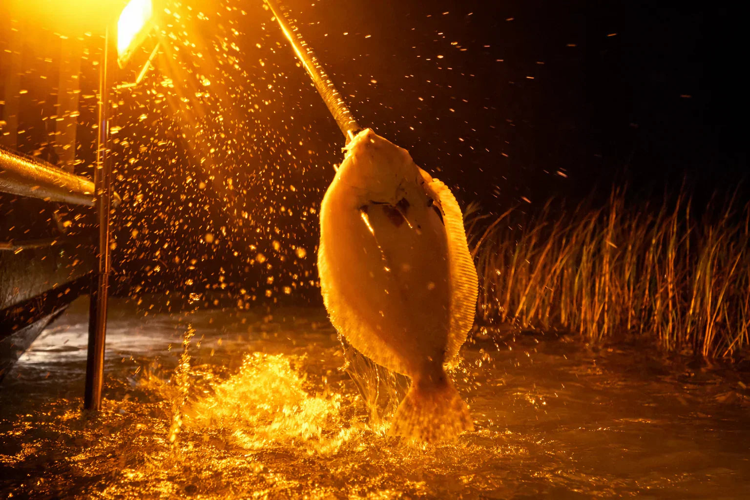 FAQ's | Flounder Gigging with Williamson Outfitters