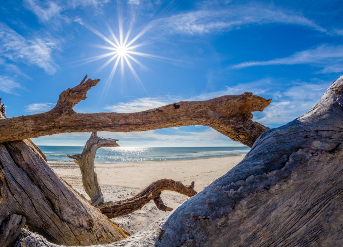 Florida’s Forgotten Coast – A Name with Deep Roots and Rich History