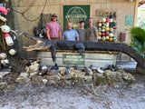 North Florida Gator Hunt: 6 hrs, Aug. thru Oct. [25% BOOKING DEPOSIT]