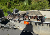 Early Season Teal & Wood Duck Hunting, Sept. 19-23, 2026 (BOOKING DEPOSIT $75 per person)