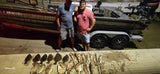 North Florida Flounder Gigging: 4 Hr Trip $550, Mar. to Nov. [30% BOOKING DEPOSIT]