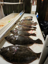 North Florida Flounder Gigging: 4 Hr Trip $550, Mar. to Nov. [30% BOOKING DEPOSIT]