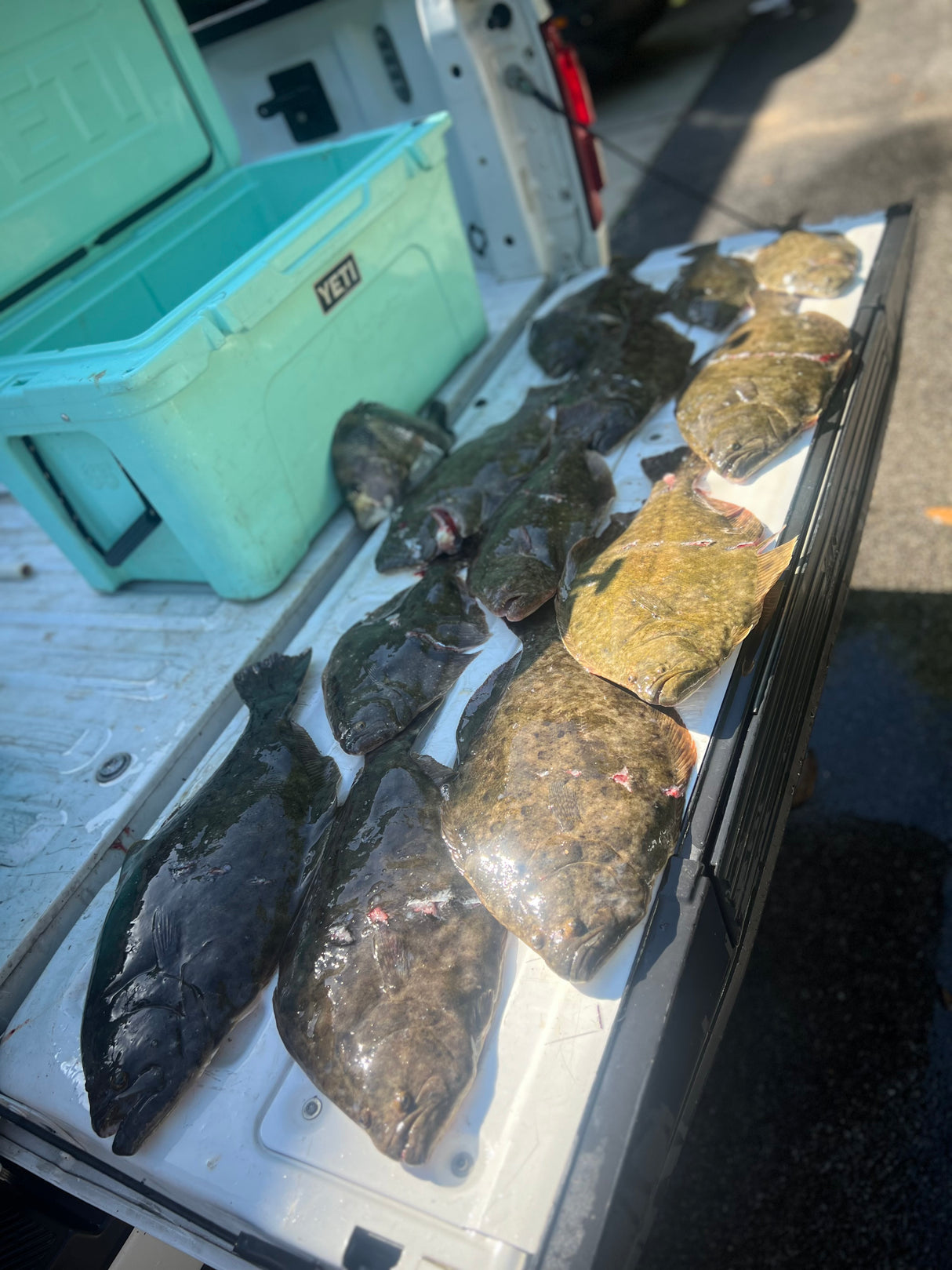 North Florida Flounder Gigging: 4 Hr Trip $600, Mar. to Nov. [30% BOOKING DEPOSIT]