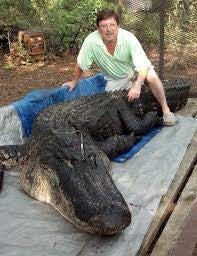 SPECIAL OPPORTUNITY - Lake Talquin, FL Gator Hunt, 1 Tag Available [BOOKING DEPOSIT]