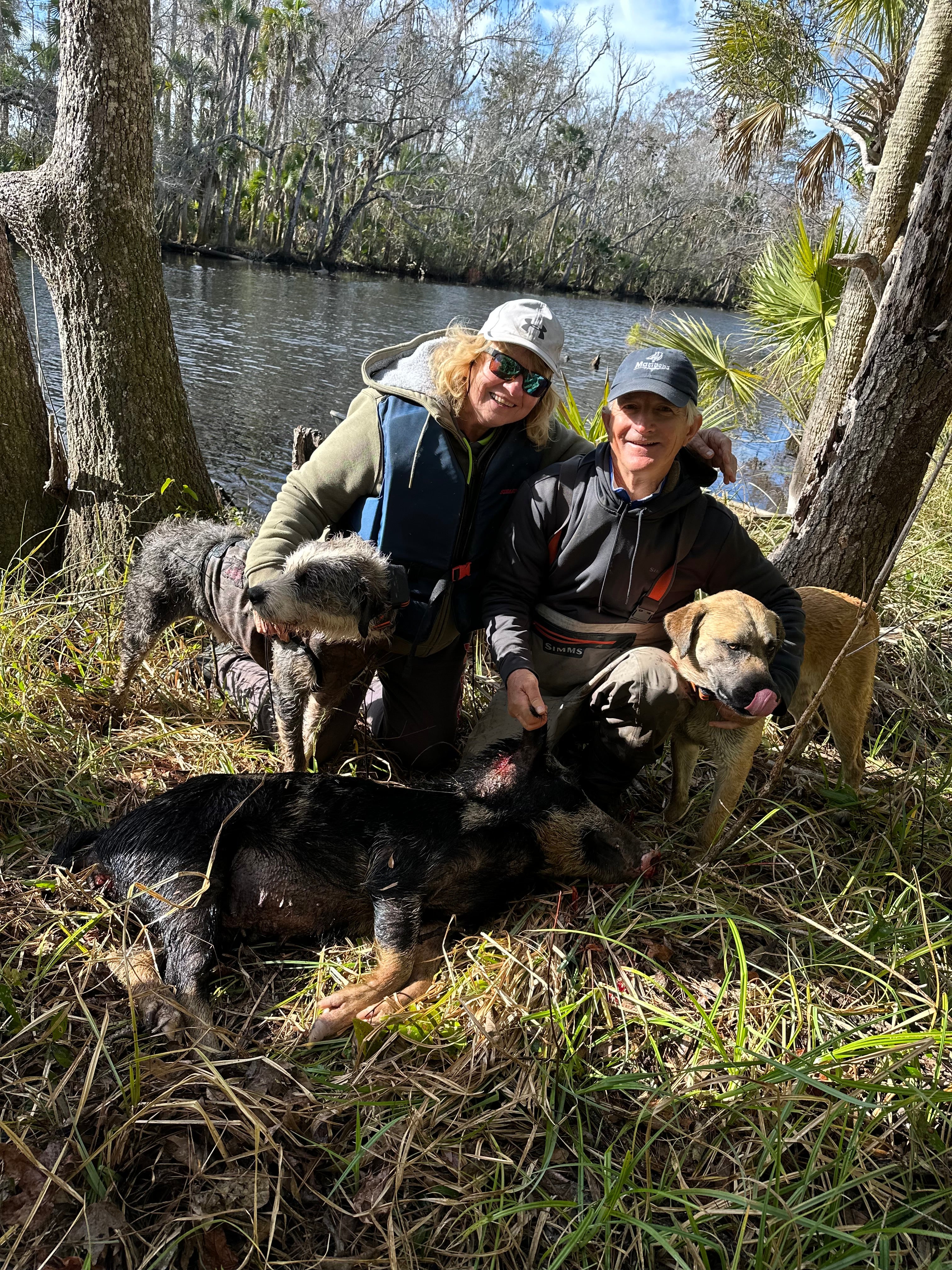 Hog hunting orders with dogs