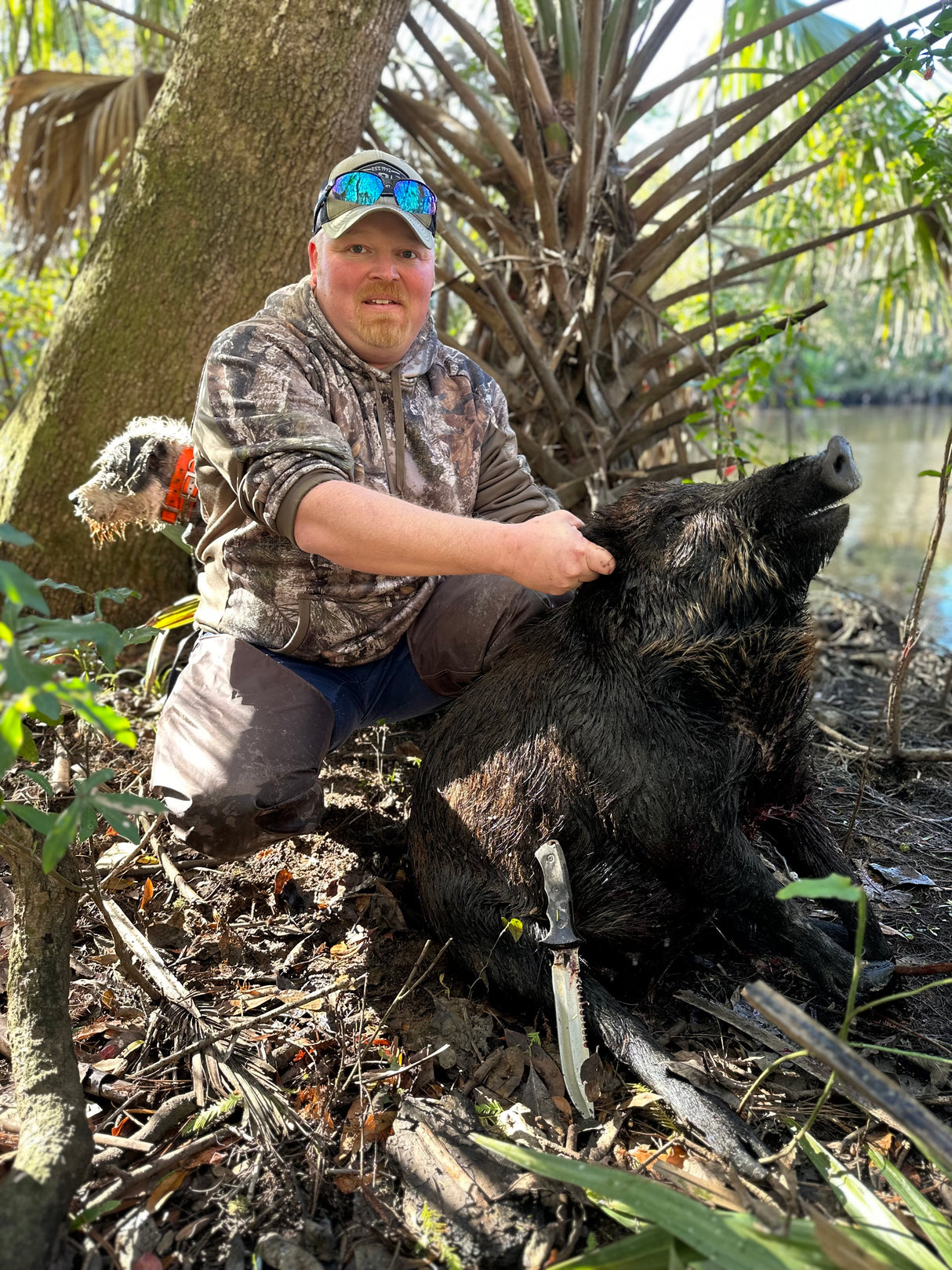 Florida Panhandle Hog Hunting: 6 hrs [30% BOOKING DEPOSIT]