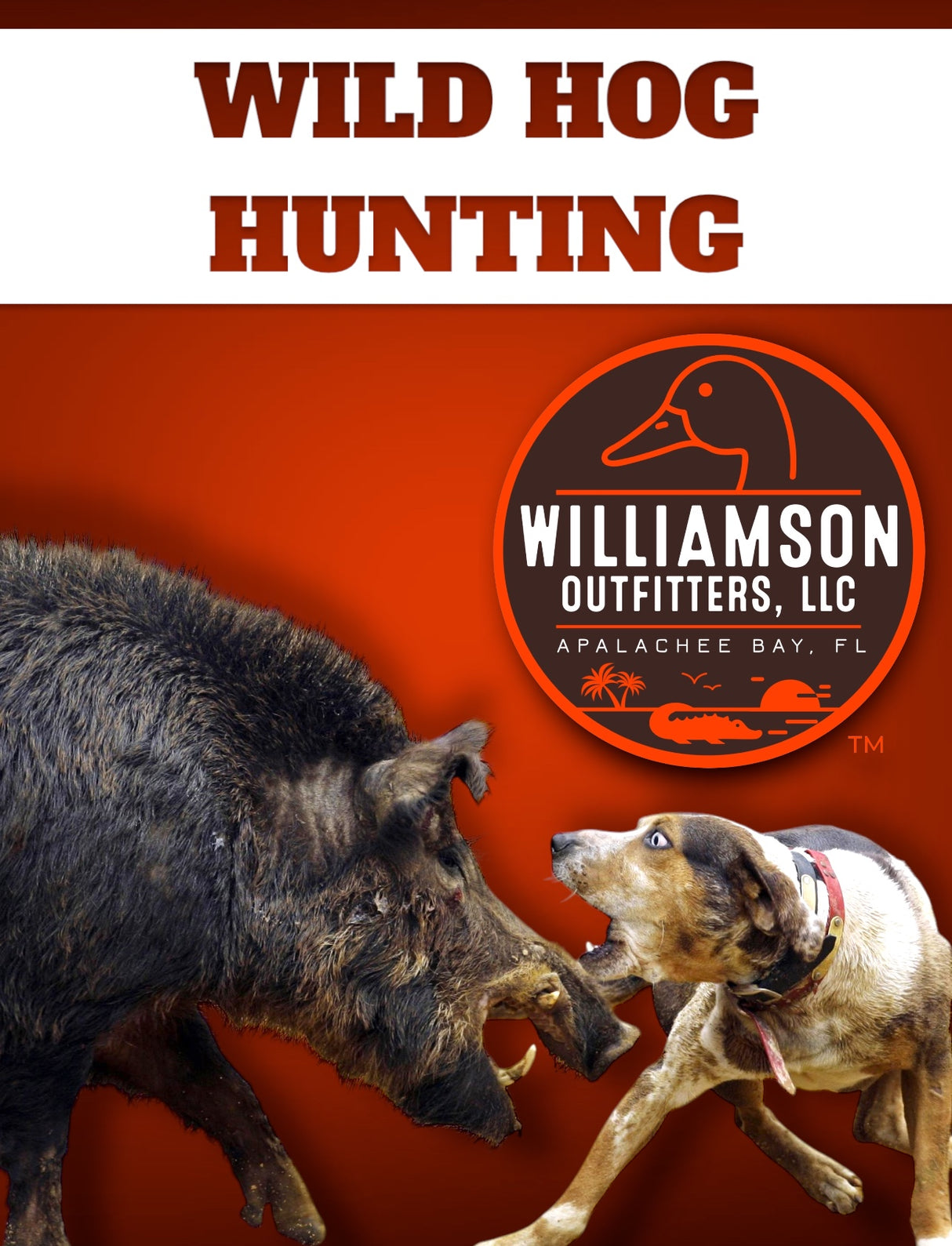 Florida Panhandle Hog Hunting: 6 hrs [30% BOOKING DEPOSIT]