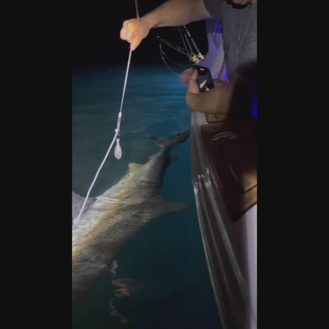 North Florida Shark Fishing [BOOKING DEPOSIT]