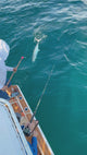 North Florida King Mackerel Fishing: 6 Hr Trip $1,050 , July and Aug. [$300 BOOKING DEPOSIT]