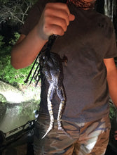 Load image into Gallery viewer, North Florida Frog Gigging: 4 Hr Trip $550, May thru Sept. [30% BOOKING DEPOSIT]