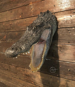 North Florida Gator Hunt: 6 hrs, Aug. thru Oct. [25% BOOKING DEPOSIT]