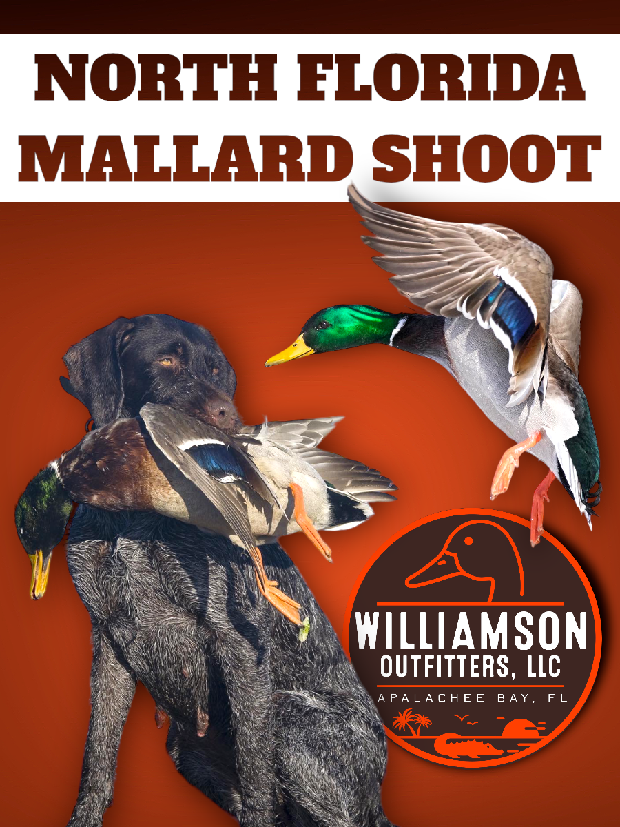 North Florida Mallard Shoots (BOOKING DEPOSIT)
