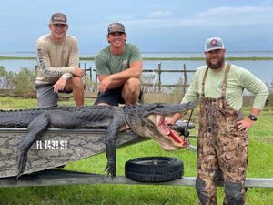 North Florida Gator Hunt: 6 hrs, Aug. thru Oct. [25% BOOKING DEPOSIT]