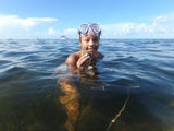 “Shells-N-Scales” - Scalloping & Inshore Fishing Combo: 8 Hr Trip $950, July thru Sept. [30% BOOKING DEPOSIT]