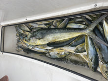 Load image into Gallery viewer, North Florida Mahi-Mahi Fishing: 6 Hr Trip $950, July and Aug. [30% BOOKING DEPOSIT]
