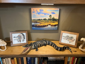 North Florida Gator Hunt: 6 hrs, Aug. thru Oct. [25% BOOKING DEPOSIT]