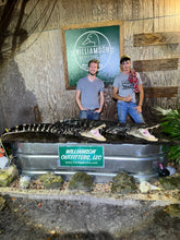 Load image into Gallery viewer, North Florida Gator Hunt: 6 hrs, Aug. thru Oct. [25% BOOKING DEPOSIT]