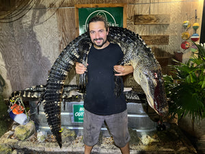 North Florida Gator Hunt: 6 hrs, Aug. thru Oct. [25% BOOKING DEPOSIT]