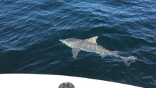 Load image into Gallery viewer, North Florida Shark Fishing [BOOKING DEPOSIT]