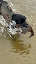 Load image into Gallery viewer, North Florida Duck Hunt (FULL Day Hunt: November - January)