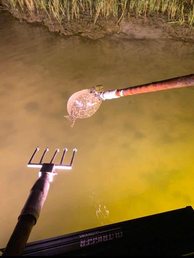 North Florida Flounder Gigging 4 Hr Trip 550, Mar. to Nov. [30 BOOK
