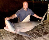 North Florida Shark Fishing [BOOKING DEPOSIT]