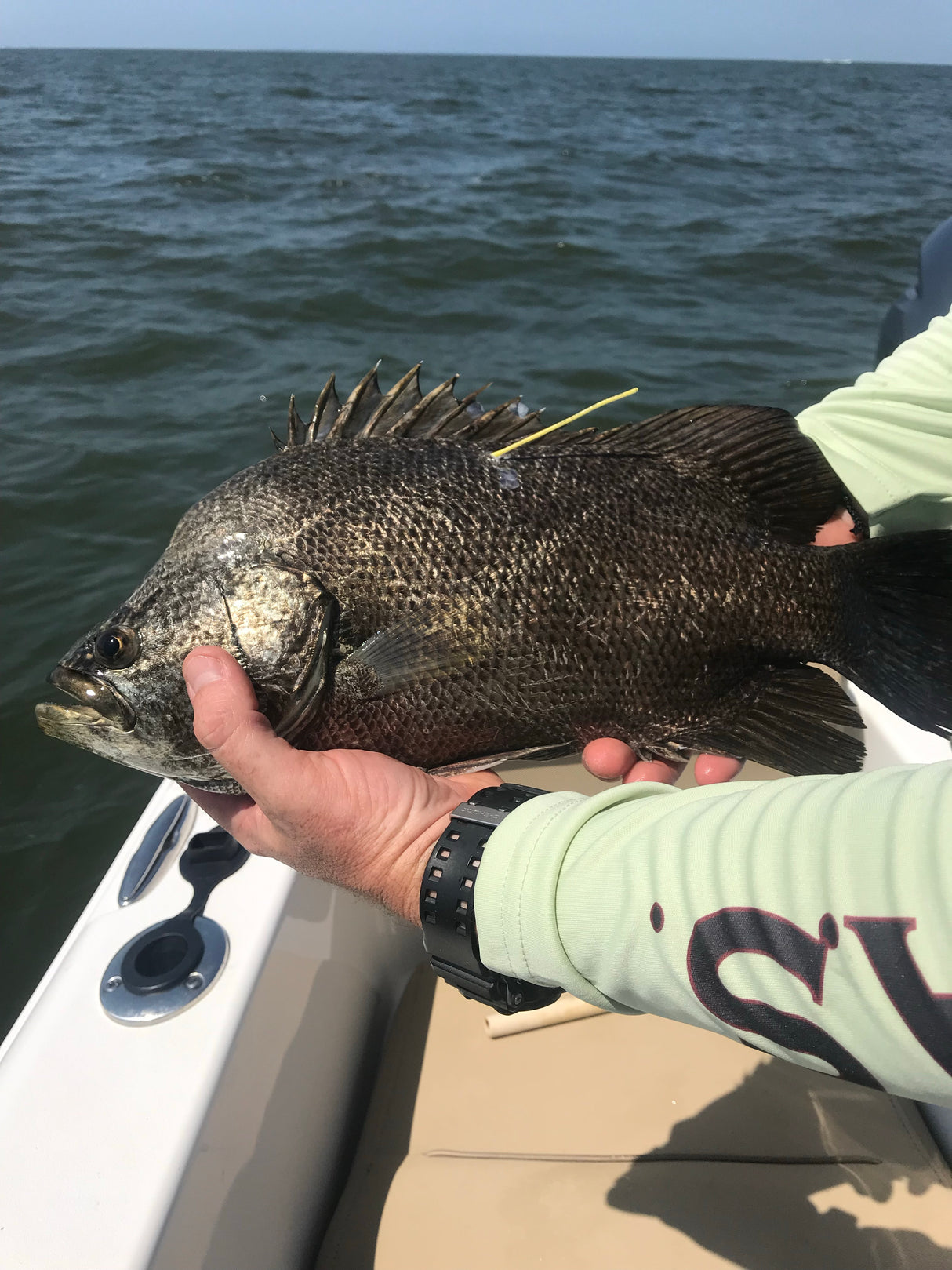 North Florida Tripletail Fishing: 6 Hr Trip $750, May thru Sept. [30% –  Williamson Outfitters, LLC