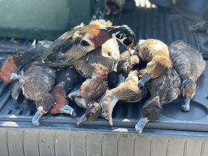 North Florida Duck Hunt (FULL Day Hunt: November - January)