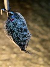 Load image into Gallery viewer, North Florida Flounder Gigging: 4 Hr Trip $550, Mar. to Nov. [30% BOOKING DEPOSIT]