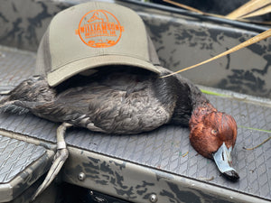 North Florida Duck Hunt (FULL Day Hunt: November - January)