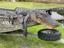 Load image into Gallery viewer, North Florida Gator Hunt: 6 hrs, Aug. thru Oct. [25% BOOKING DEPOSIT]