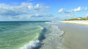 Boat Rides & Tours: 3+ Hr Trip $395, All Year [30% BOOKING DEPOSIT]