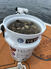 Load image into Gallery viewer, North Florida Scalloping: 6 Hr Trip $650, July thru Sept. [30% BOOKING DEPOSIT]